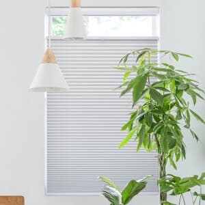 Cordless Blackout Top Down Bottom Up Single Cellular Shades